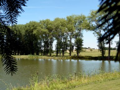 Naturschutzgebiet der ehemaligen Ton- und Kiesgruben Binsfeld