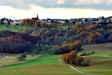 Ortsgemeinde Bergweiler im Spätherbst