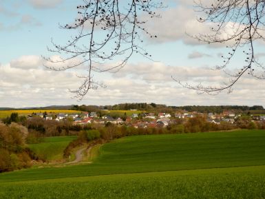 Luftbild Eckfeld