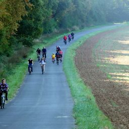 Auf der Strecke