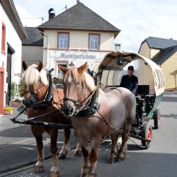 Emil Prinz steht mit seiner Kutsche bereit